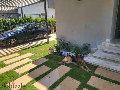 Brand New  Corner Townhouse for Rent in Etapa Sheikh Zayed | 320 SQM