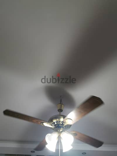 مروحه بنجفه فريش