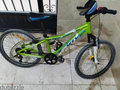 viva bicycle