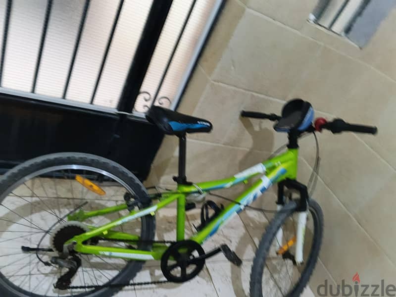 viva bicycle 2