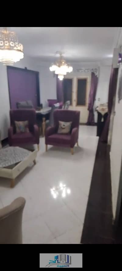 ميامي اسكندر ابراهيم