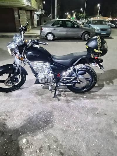 هوجن 3 للبيع Hogan 3 for sale