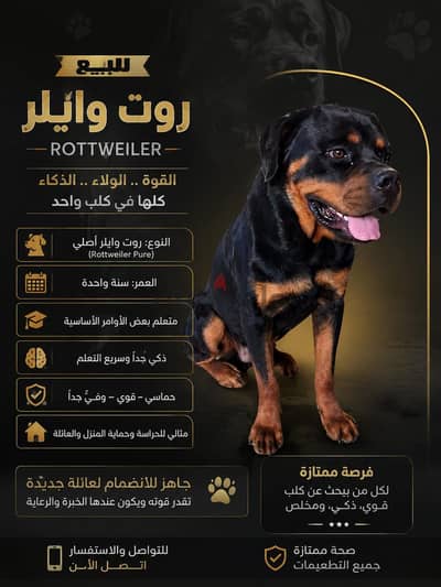 روت وايلر امريكي