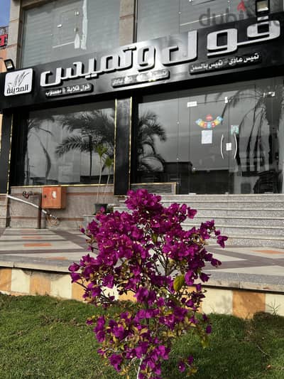 مشروع مطاعم فول وتميس المدينة للبيع شامل الشركة
