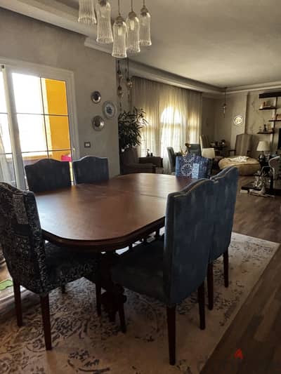 Dining table + 10 chairs