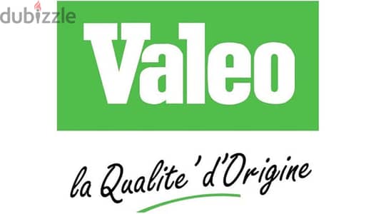 سربنتينه  Valeo فرنساوى