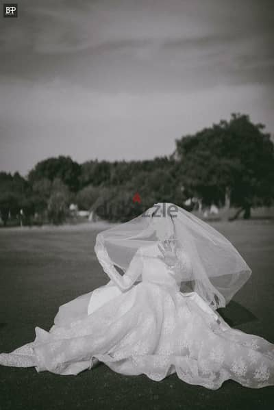 French lace Wedding dress with sleeves