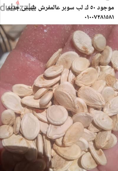 موجود لب سوبر جديد