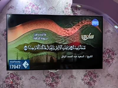 تلفزيون