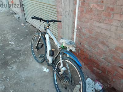 عجله ايطاليانو xc26