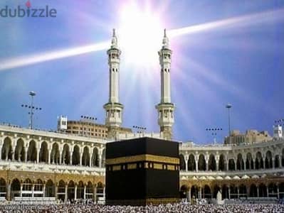 إعلان عن دروس في اللغة العربية بجميع المراحل. و التأسيس ، و on line .
