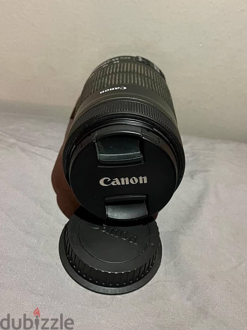 canon 55-250 STM 2