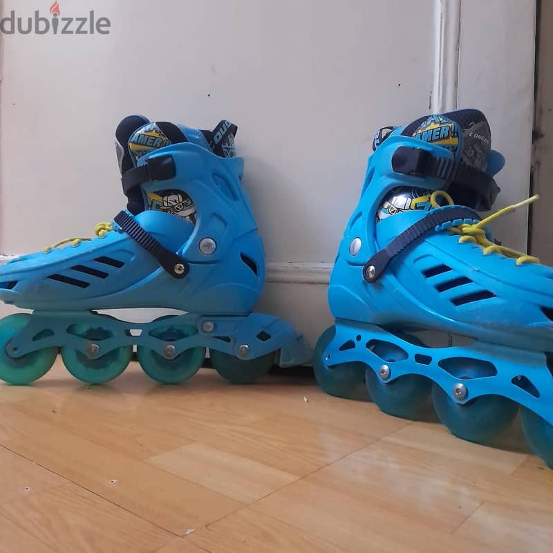 skate cougar 1