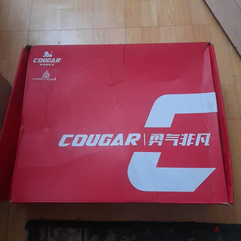 skate cougar 2