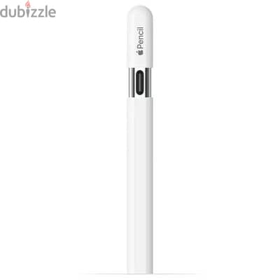 Apple Pencil (USB-C)