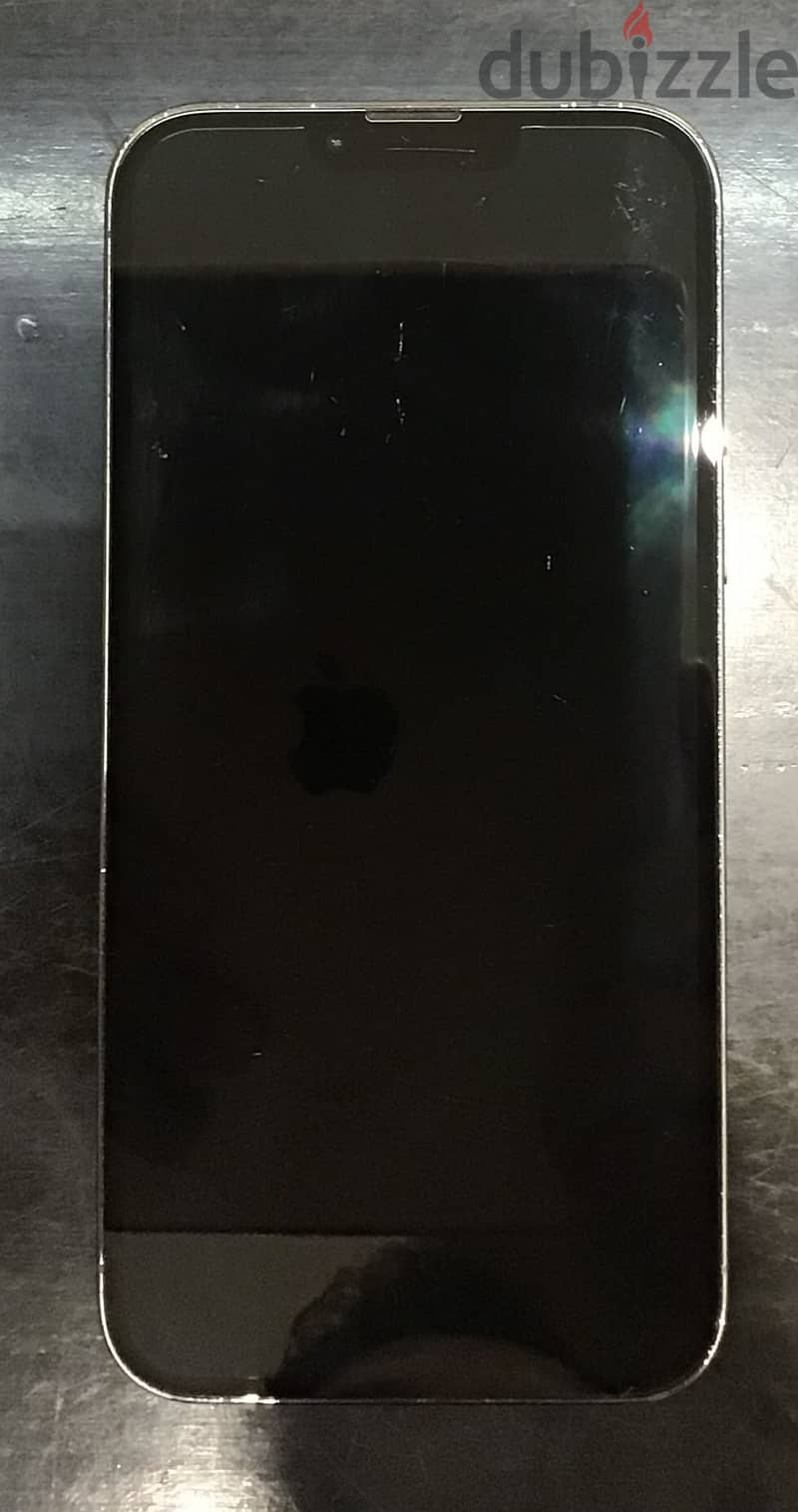 iphone 13 pro max 1
