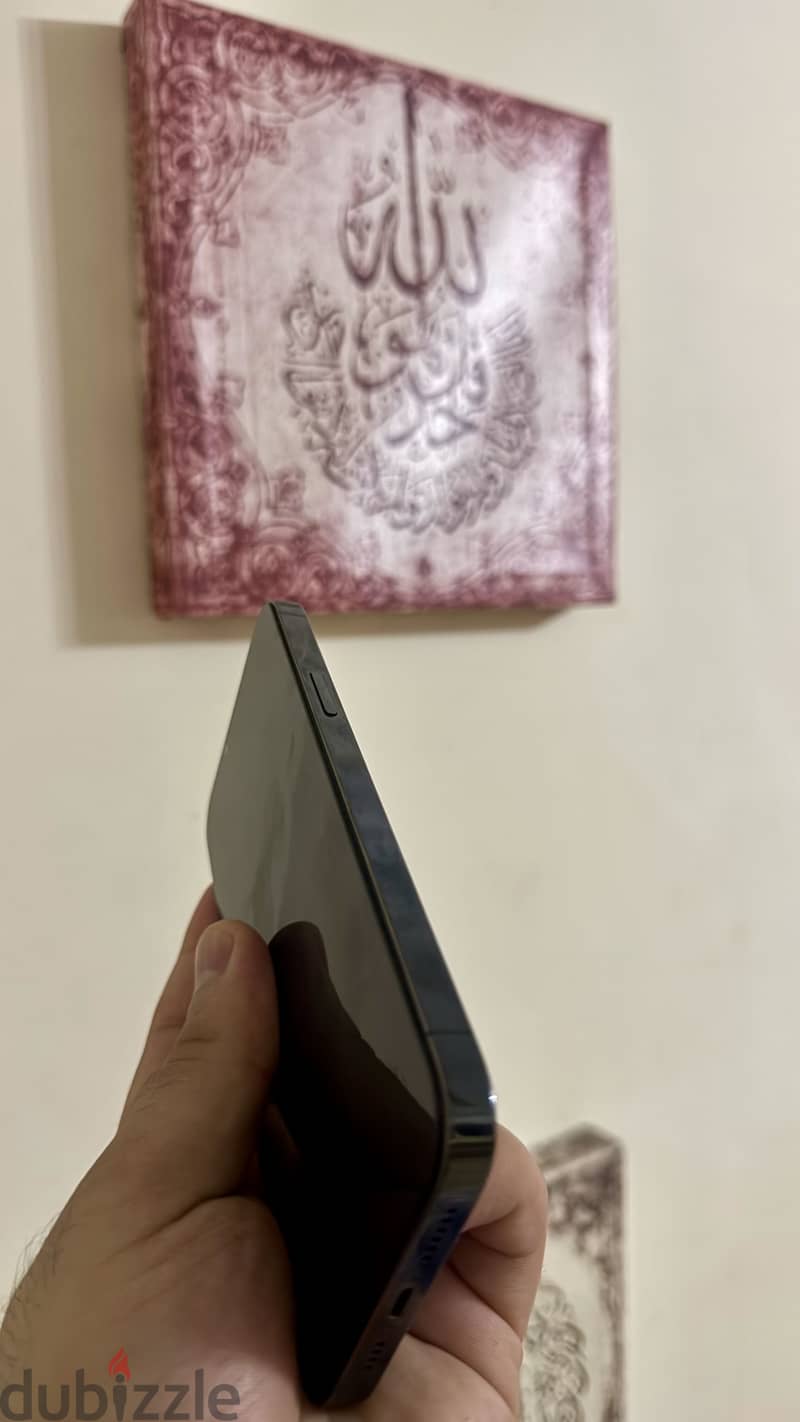 Apple - iPhone 13 Pro Max 256 Green 2