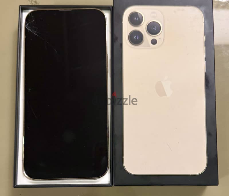 Iphone 13 pro max 1