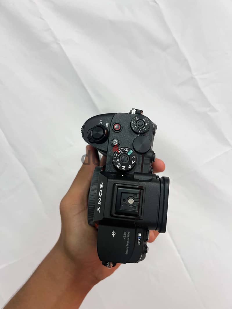 A7siii shutter 800 Pictures only 2