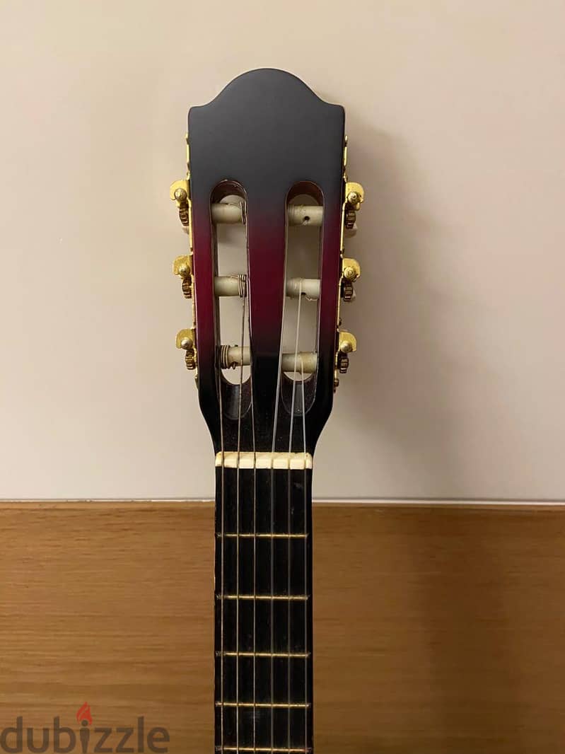 Classic guitar 10