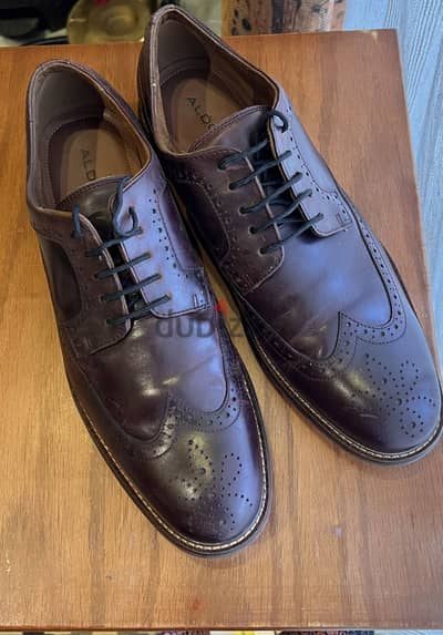 Aldo men shoes