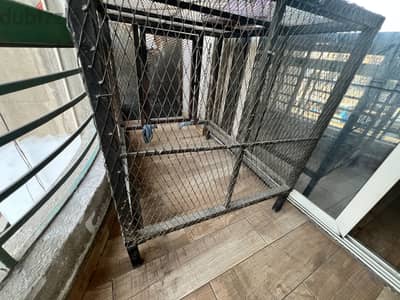 Pet house - بيت كلب