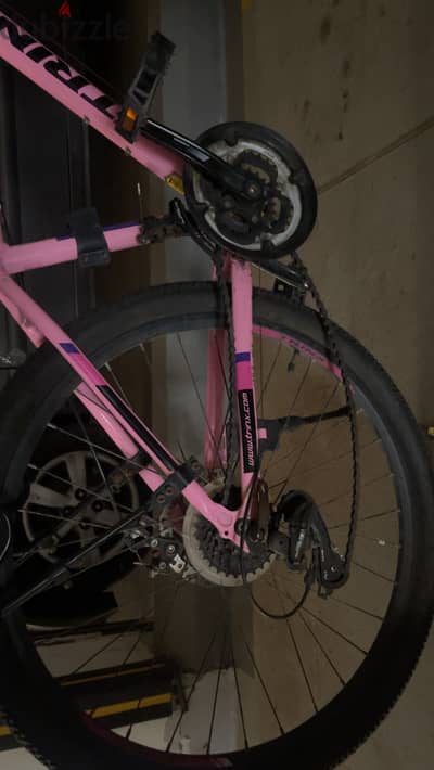 عجلة trinx