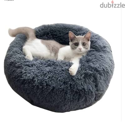 Cat bed