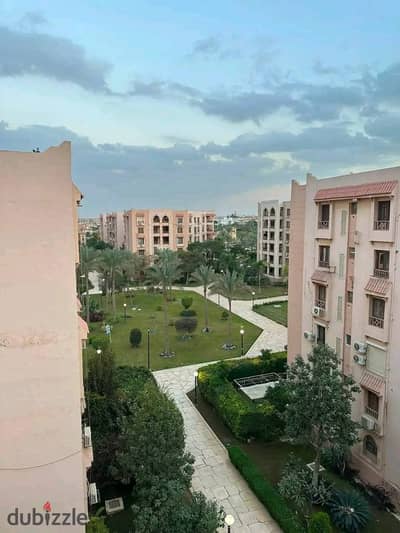 Opal for sale in phase five