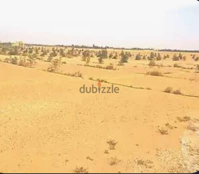 أرض فى الحزام الأخضر من المالك مباشرة
