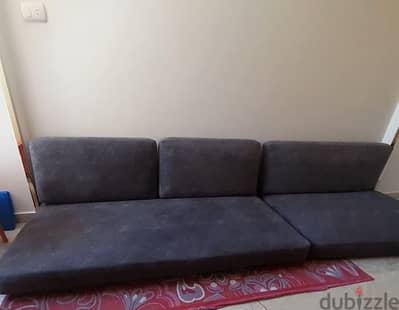 ركنه شلت