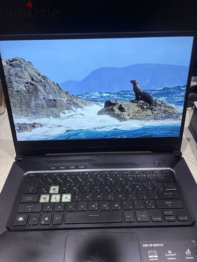 ASUS TUF Dash F15 | i7-11370H | RTX 3060 | 16GB RAM | 1TB SSD | 144Hz