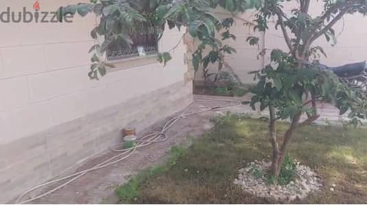 دوبلكس بحدايق الاهرام بحديقة كبيرة مزروعة بالكامل