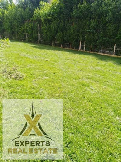 Twin House Villa 251 m with special finishes for rent under new law in front of the open air, with a distinguished location