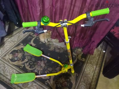 سكوتر فراشه كبير