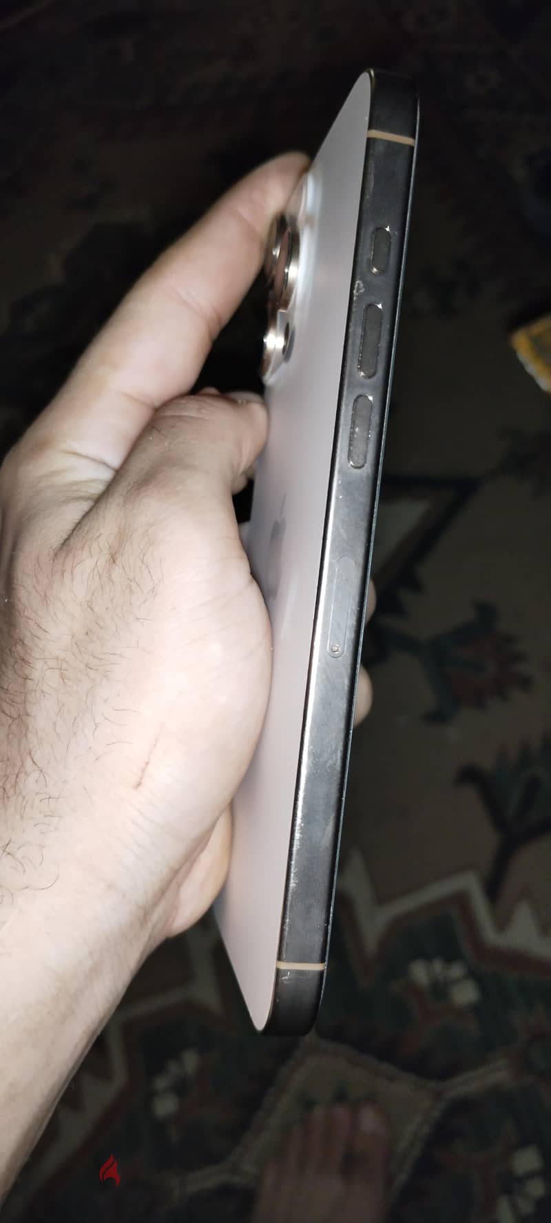 iphone 16 pro max 2