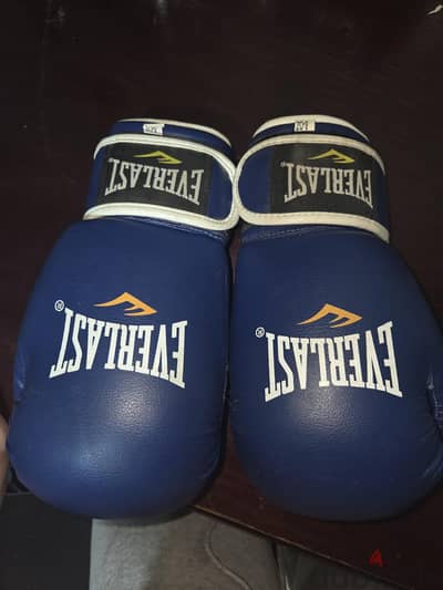 Everlast Boxing gloves 8 oz