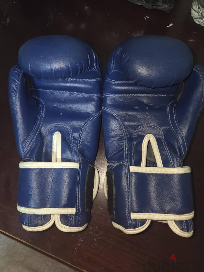 Everlast Boxing gloves 8 oz 1