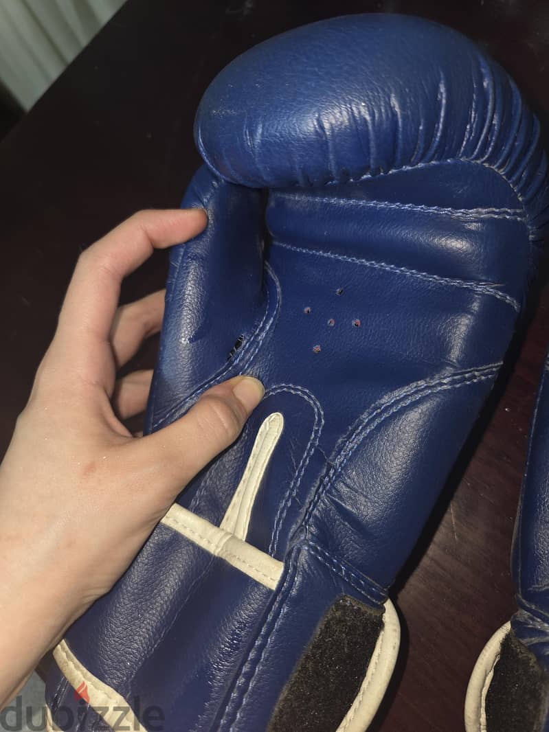 Everlast Boxing gloves 8 oz 2