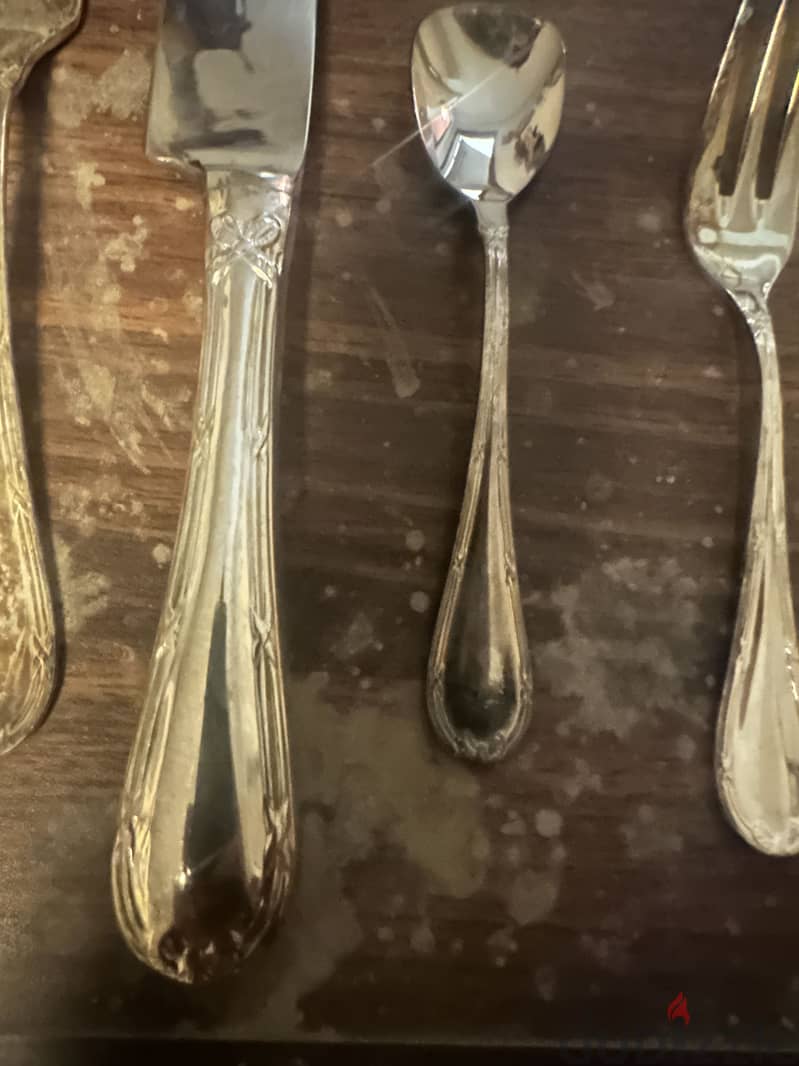 Alpaca silver 1