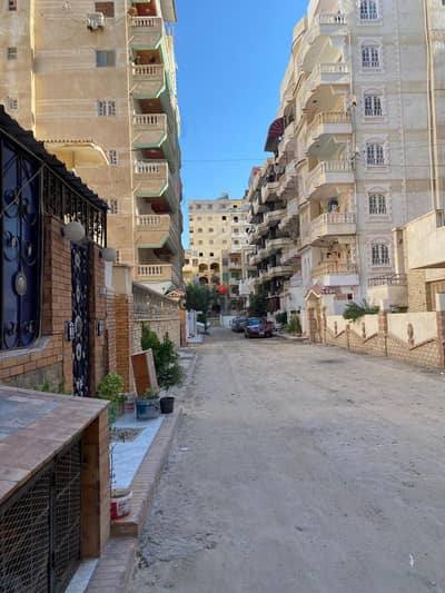 شقه لووووووووقطة ف ارقي مكان ف العجمي تقسيم قوات مسلحه تشطيب مميز دور مميز فيووو بحر بسعر خياااال