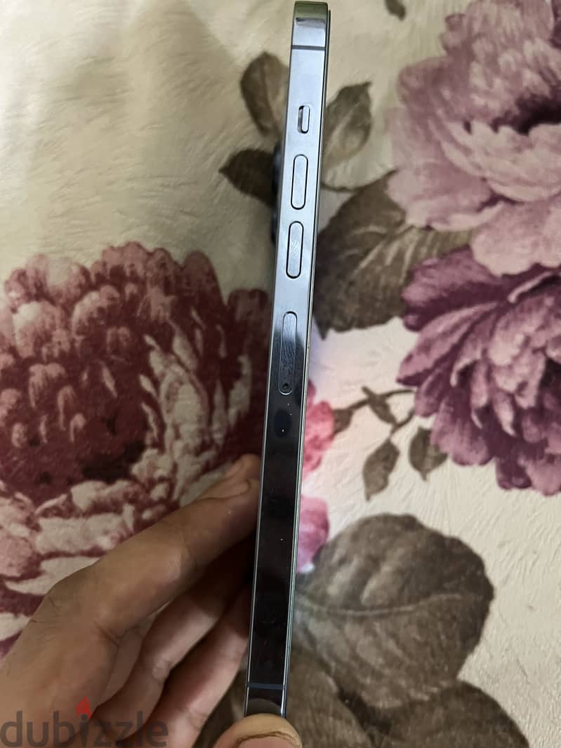 Apple - iPhone 13 Pro Max 1