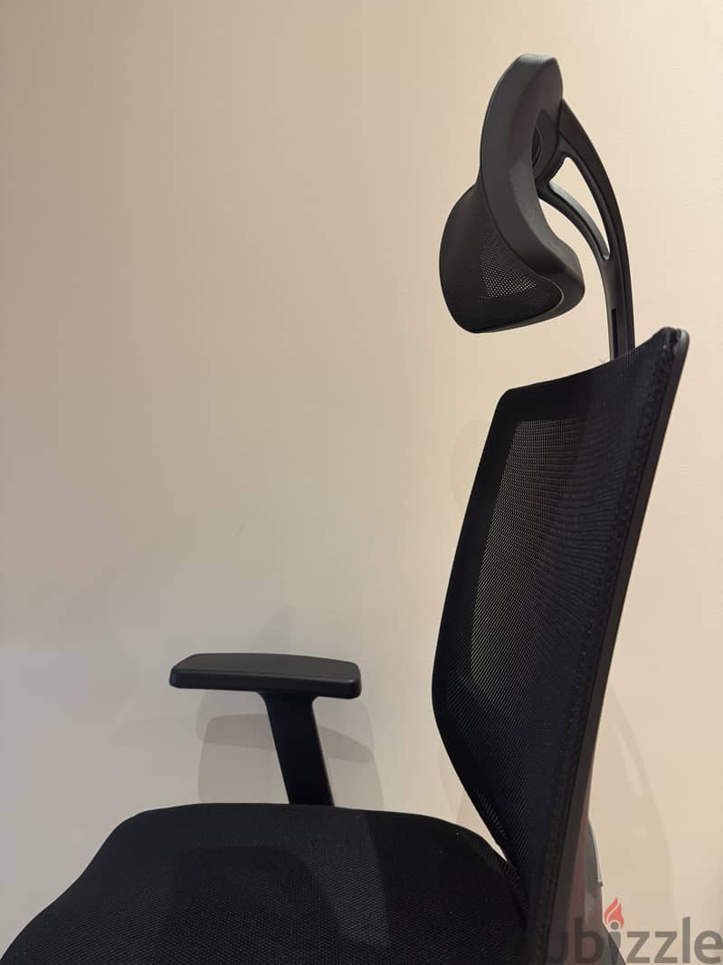 Ergonomic desk chair 2