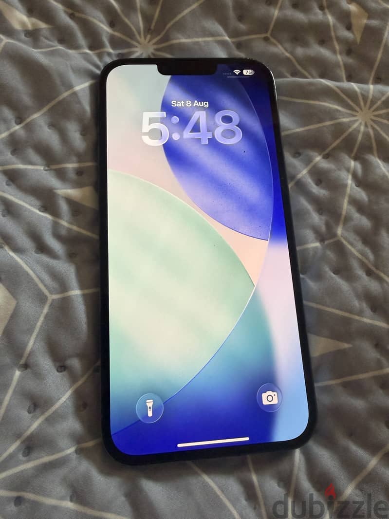 Apple - iPhone 13 Pro Max 1