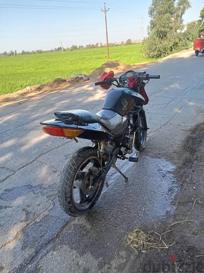 دايو 6 2015