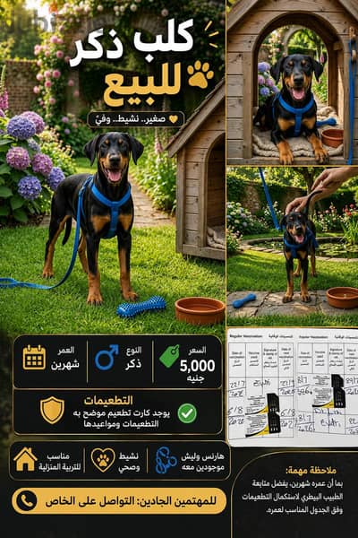 بيع لظروف السفر