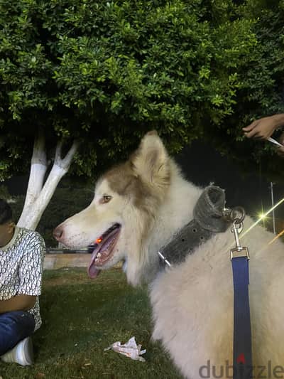 العبور