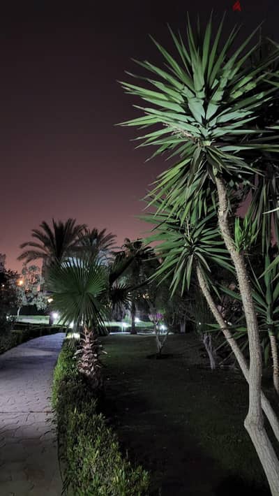 من المالك مباشره