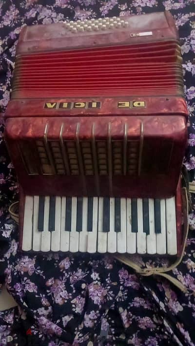 لسرعة البيع أكورديون DELICIA أصلي Vintage – صناعة تشيكوسلوفاكية ٢٥٠٠٠