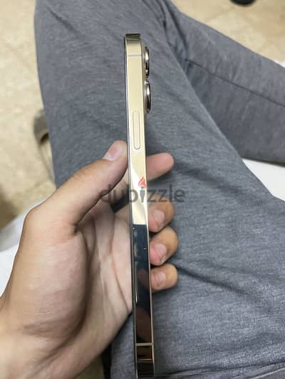 Apple - iPhone 13 Pro Max